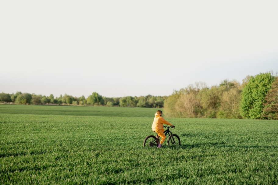 Realestate | How to Check Market Value of Land in Florida: A Comprehensive Guide