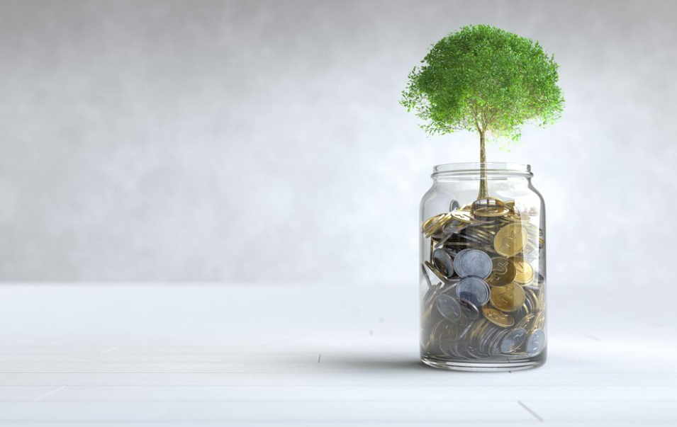 The Psychology of Money: Decoding the Behavioral Aspects of Financial Decision-Making