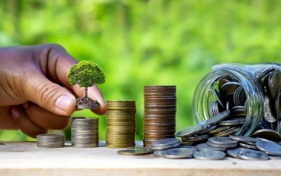 How to become financially stable in 5 years?